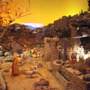 Krippana 2018 (  photo : F. Detry )