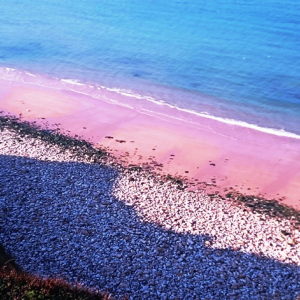 UTAH  BEACH  ( Photo F. Detry )