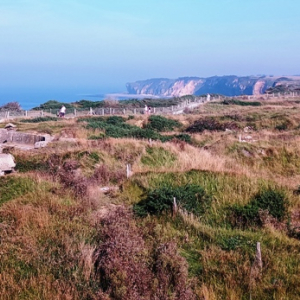 UTAH  BEACH   ( Photo F. Detry )