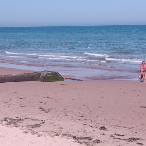 OMAHA  BEACH   ( Photo: F. Detry )