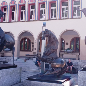 Vaduz ( Photo : F. Detry ) Vaduz ( Photo : F. Detry )