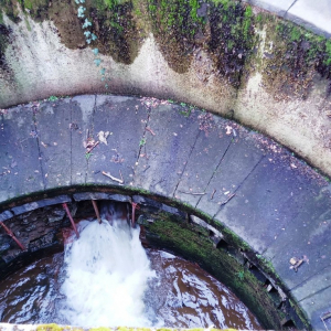 2023-02-13  Lac de Warfaaz  ( Photo : F. Detry )