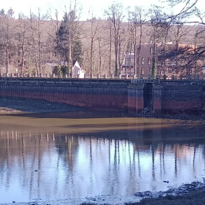 2023-02-13  Lac de Warfaaz  ( Photo : F. Detry )