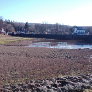 2023-02-13  Lac de Warfaaz  ( Photo : F. Detry )