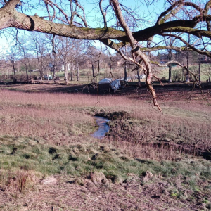 2023-02-13  Lac de Warfaaz  ( Photo : F. Detry )