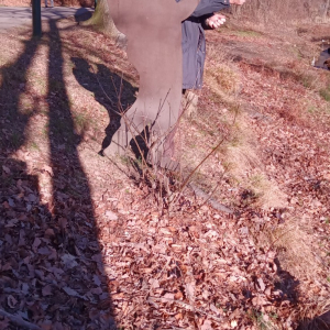 2023-02-13  Lac de Warfaaz  ( Photo : F. Detry )