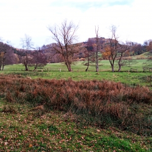 Vallée de la Warchenne