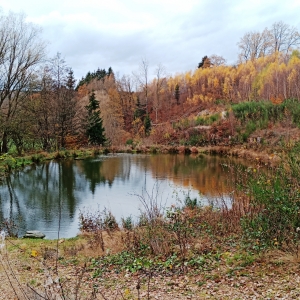 Nature en bord de Ravel