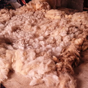 Solvent Verviers ( photo : F. Detry )