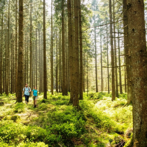 2) Les Cantons de l'Est, votre destination pour des vacances en famille. ©ostbelgien.euDominik Ketz