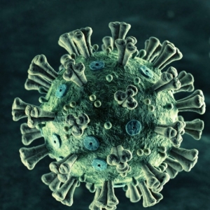       La technique des Pays-Bas pour contrer le coronavirus est différente de la nôtre : aberration ??