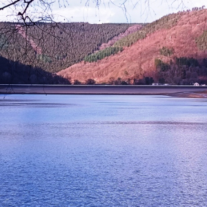 Le bassin inférieur et sa digue ( photo F. Detry )