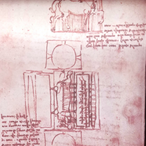 Croquis de la fosse destinée au coulage du cheval du monument Sforza