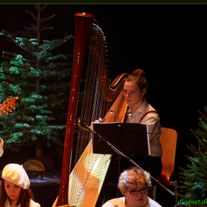 Le Cercle Royal des Mandolinistes de Malmedy ( Photo Denis DOSQUET )