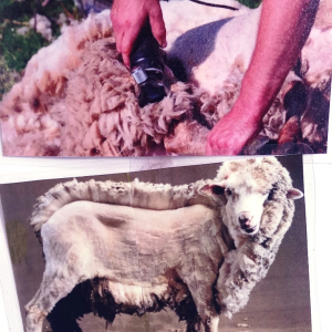 Solvent Verviers ( photo : F. Detry )