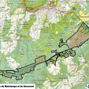 Projet BE33032 - Fagnes de Malchamps et de Stoumont