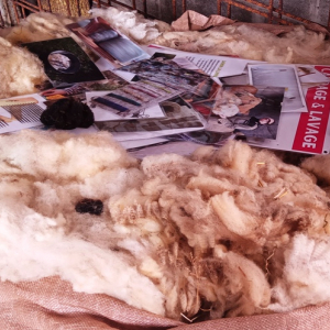 Solvent Verviers ( photo : F. Detry )