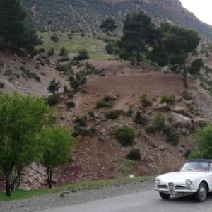 Maroc Classic Alfa Romeo Giuletta de 1965 