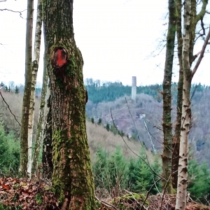 Vue sur la cheminée de la centrale de Bévercé ( Photo Detry )