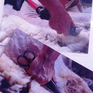 Solvent Verviers ( photo : F. Detry )