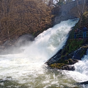 Le débit actuel de la cascade ( photo F. Detry )