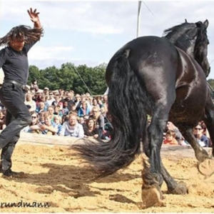 Festival International des Arts de la Rue de Chassepierre 