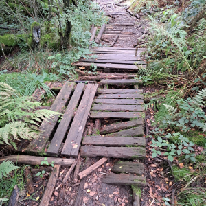 VENNTRILOGIE Etape 4 VENNTRILOGIE Etape 4