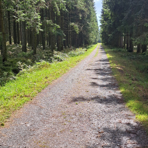 VENNTRILOGIE Etape 4 VENNTRILOGIE Etape 4