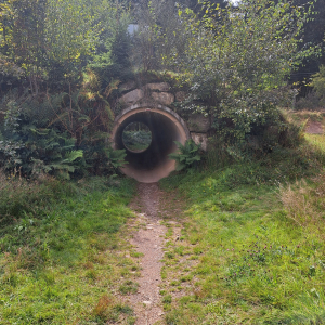 VENNTRILOGIE Etape 4 VENNTRILOGIE Etape 4