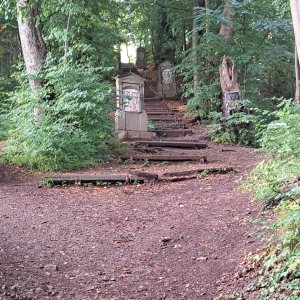 VENNTRILOGIE Etape 5 et 6 VENNTRILOGIE Etape 5 et 6