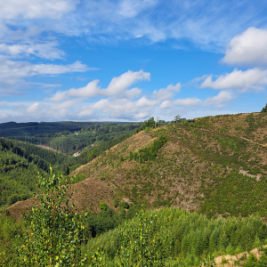 VENNTRILOGIE Etape 5 et 6 VENNTRILOGIE Etape 5 et 6