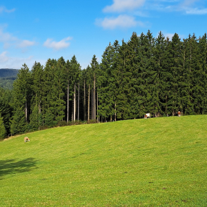 VENNTRILOGIE Etape 5 et 6 VENNTRILOGIE Etape 5 et 6