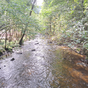 VENNTRILOGIE Etape 5 et 6 VENNTRILOGIE Etape 5 et 6