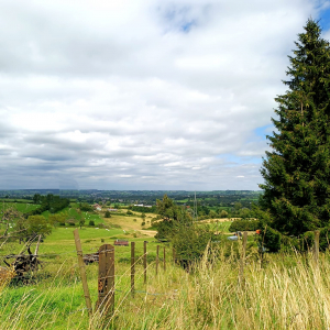 Paysage du plateau de Herve