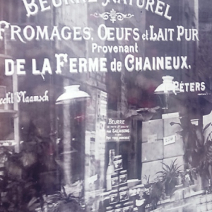 Fromage de Herve  ( photo : F. Detry )