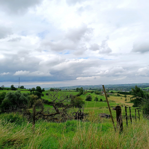 Paysage du plateau de Herve