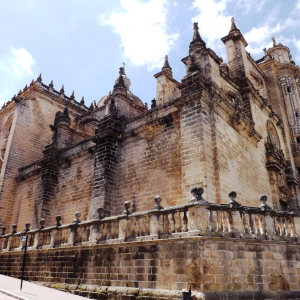 La cathédrale de Jerez de la Frontera  ( photo : F. Detry )