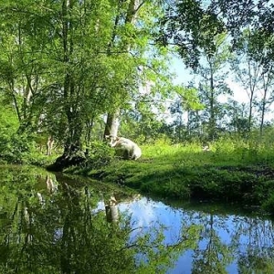 6 Marais Poitevin (Deux-Sèvres, Vendée, Charente-Maritime)