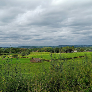 Paysage du plateau de Herve