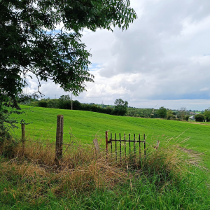 Paysage du plateau de Herve