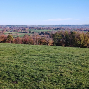 Vue sur le Plateau herbager