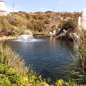 Porto Cervo ( Sardaigne ) ( Photo : F. Detry )