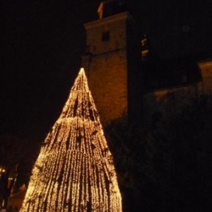 Le Sapin du Record