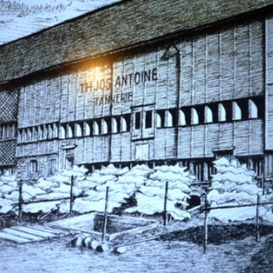 Les tanneries