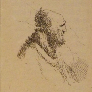 Chauve vieil homme avec une barbe courte ( vers 1635 )