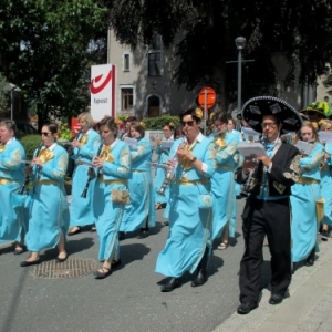 Malmedy tout en couleurs pour les 50 ans de la Mesnie dol Haguète          