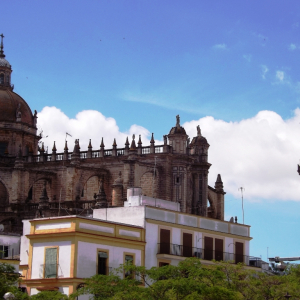 La cathédrale de Jerez de la Frontera  ( photo : F. Detry )