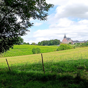 Paysage du pays de Herve