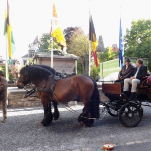 La caleche attend ses passagers