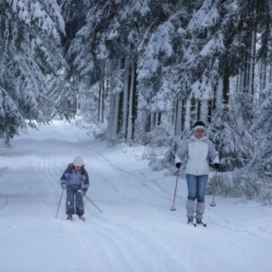 Sports de neige